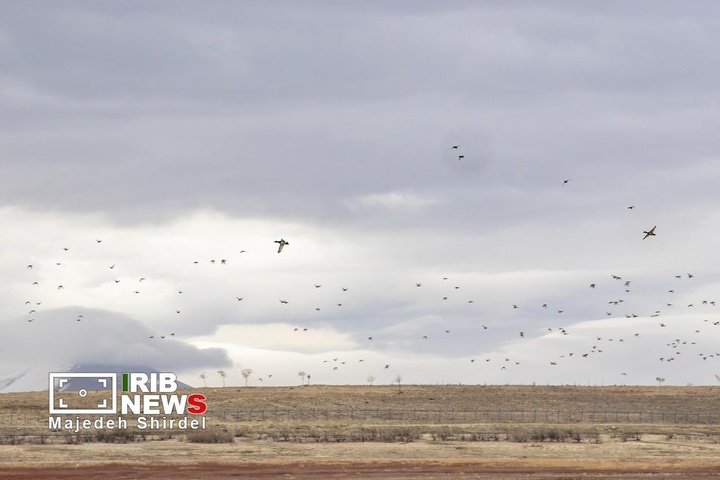 تالاب شیرین‌سو در همدان