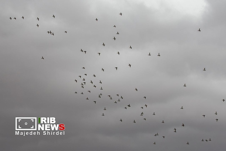 تالاب شیرین‌سو در همدان