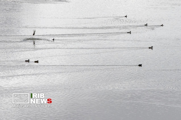 تالاب شیرین‌سو در همدان