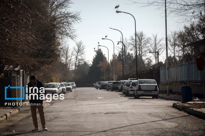 میان کوچ و ماندن