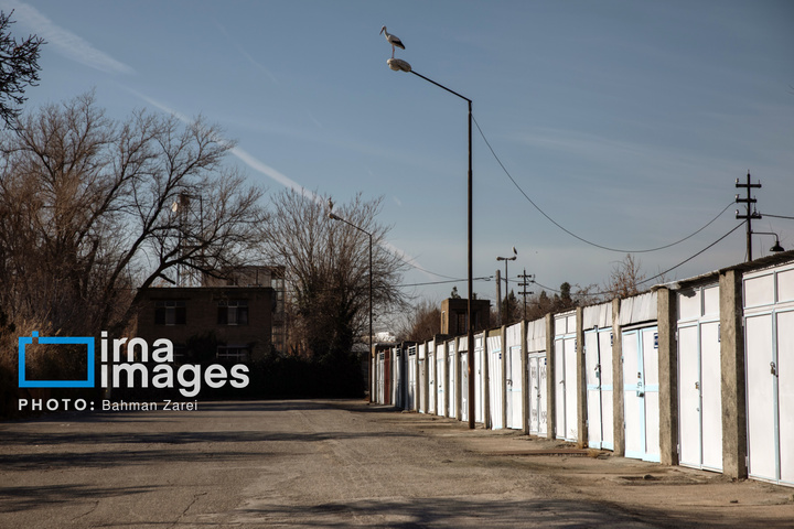 میان کوچ و ماندن