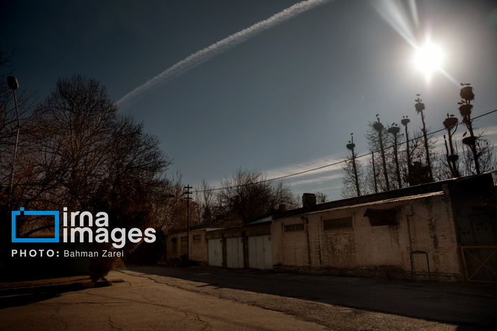 میان کوچ و ماندن