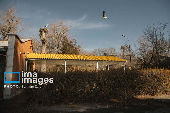 میان کوچ و ماندن