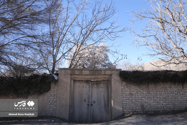 شکوفه های زمستانی شهرراز