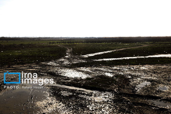 جزیره آشوراده