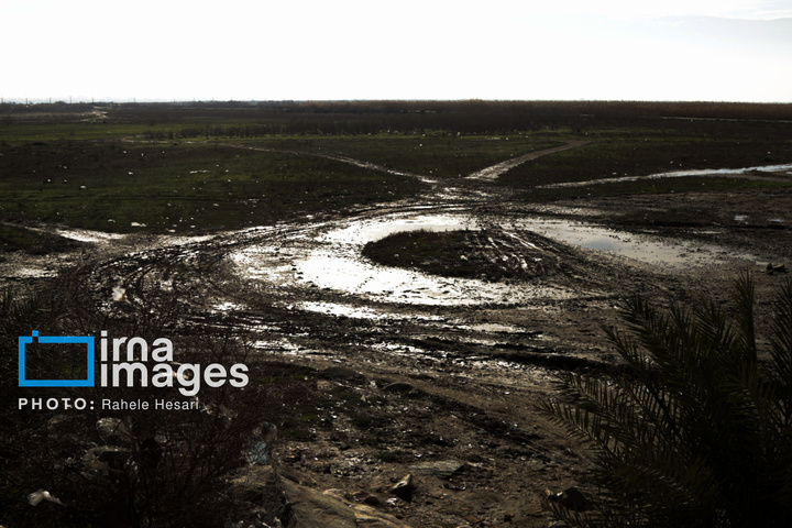 جزیره آشوراده