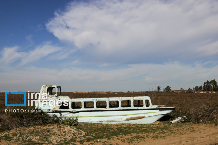 جزیره آشوراده