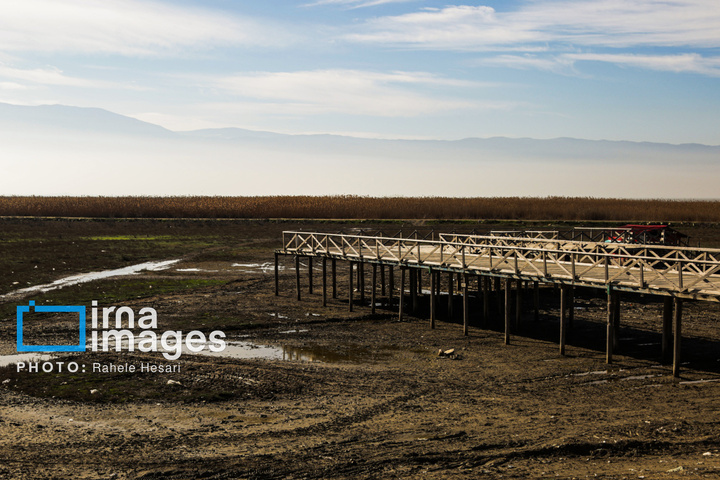 جزیره آشوراده