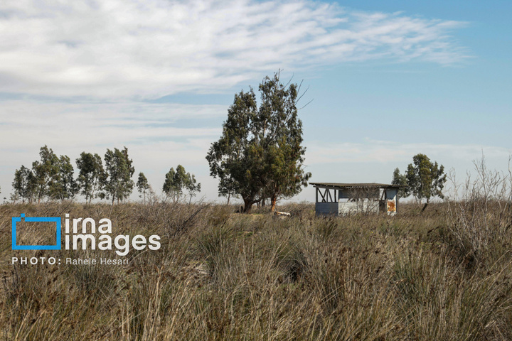 جزیره آشوراده