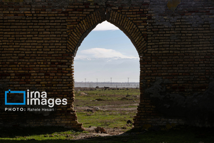 جزیره آشوراده