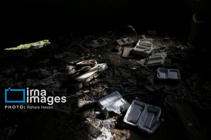 جزیره آشوراده