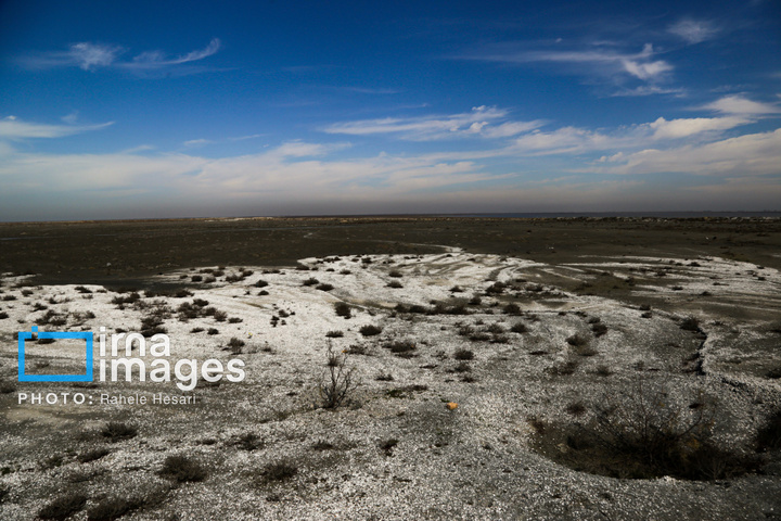 جزیره آشوراده
