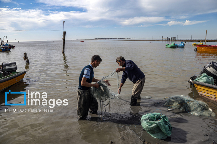 جزیره آشوراده