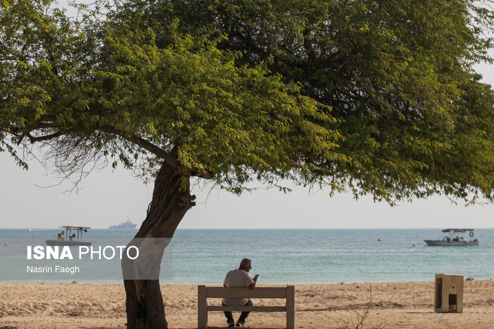 کیش؛ جزیره‌ای که زمستان ندارد