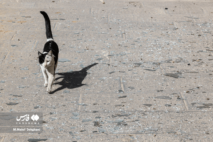 آثار تجاوز هوایی به کاخ گلستان