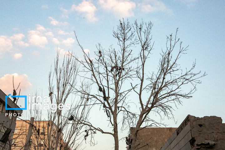 حمله هوایی به منازل مسکونی در تهران