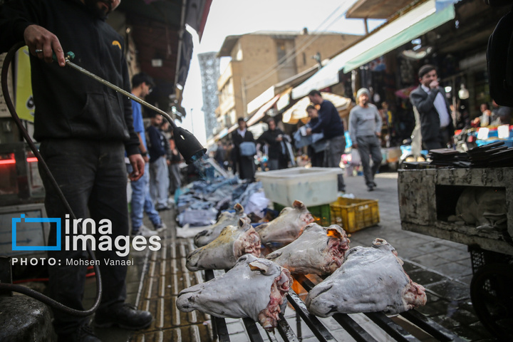 قلب تهران زیر بمباران هم می‌تپد