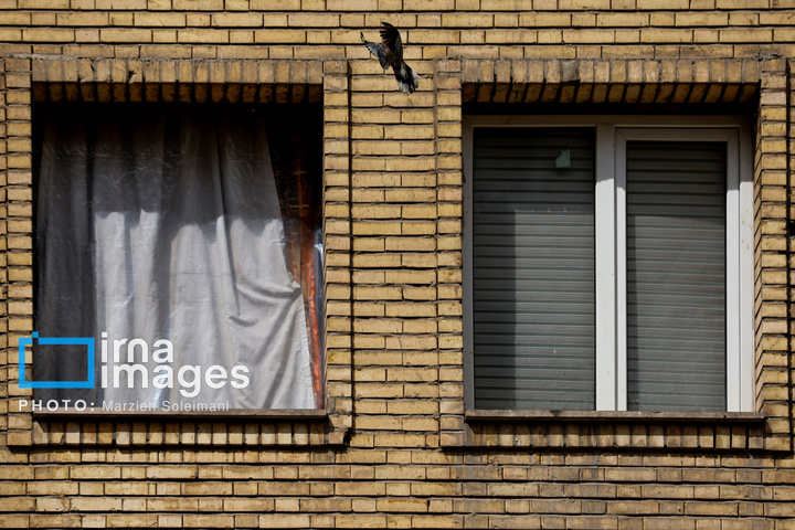 زندگی پشت پنجره‌های شکسته