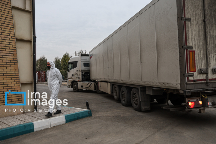 تدفین پیکر شهدای حملات آمریکا و رژیم صهیونیستی در بهشت زهرا (س)