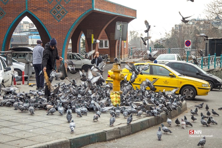 تهران؛ هفته پایانی سال ۱۴۰۴