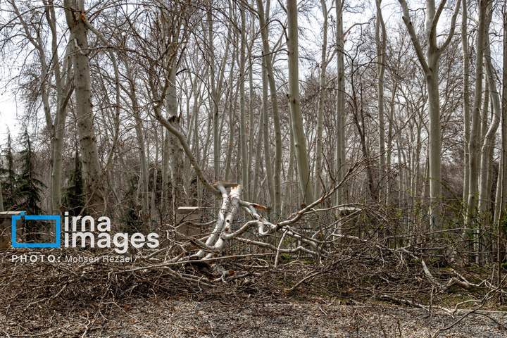 ترکش‌های بمباران هوایی به کاخ سعدآباد رسید