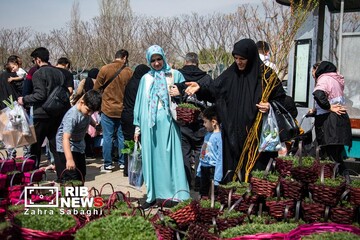 شور و حال خرید در بازار گل محلاتی در آستانه نوروز ۱۴۰۵