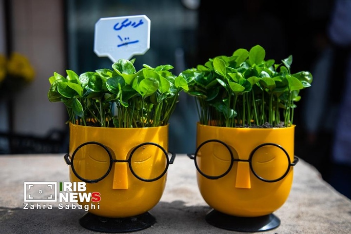 شور و حال خرید در بازار گل محلاتی در آستانه نوروز ۱۴۰۵