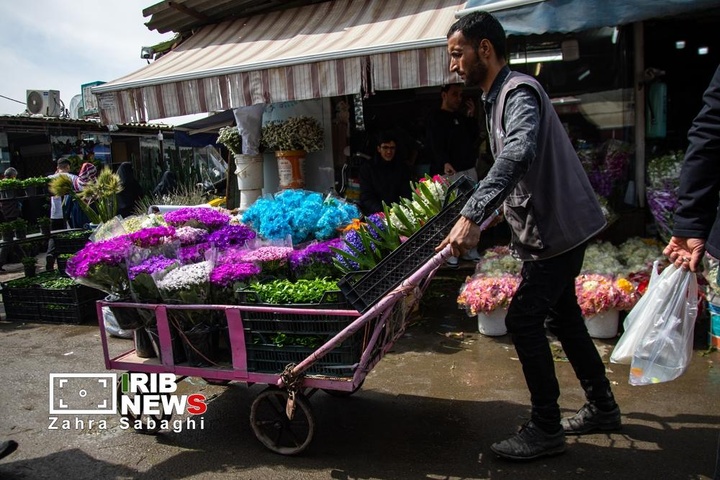شور و حال خرید در بازار گل محلاتی در آستانه نوروز ۱۴۰۵