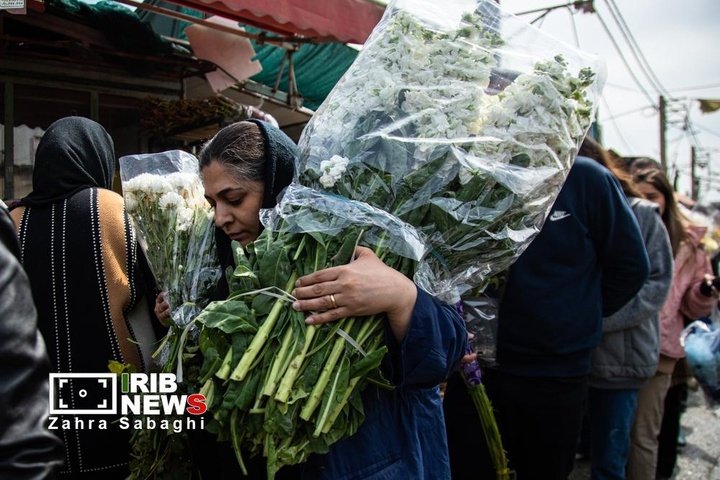 شور و حال خرید در بازار گل محلاتی در آستانه نوروز ۱۴۰۵