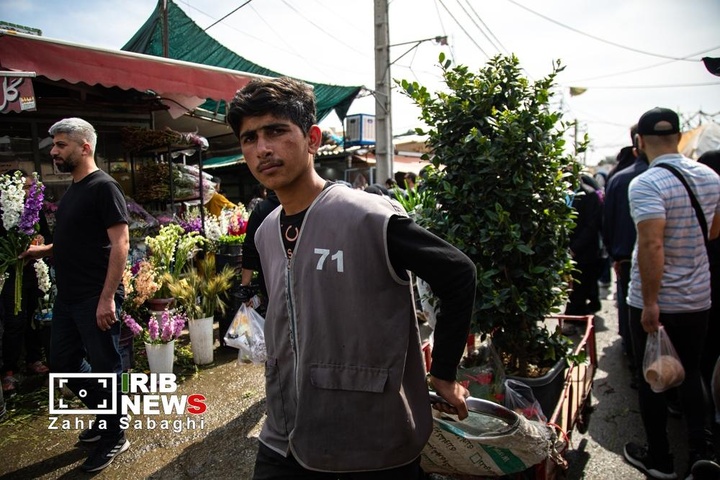 شور و حال خرید در بازار گل محلاتی در آستانه نوروز ۱۴۰۵