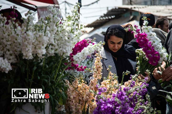 شور و حال خرید در بازار گل محلاتی در آستانه نوروز ۱۴۰۵