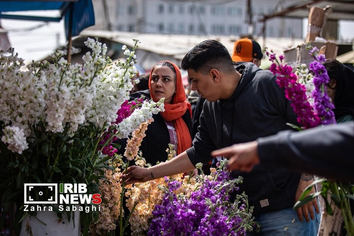 شور و حال خرید در بازار گل محلاتی در آستانه نوروز ۱۴۰۵