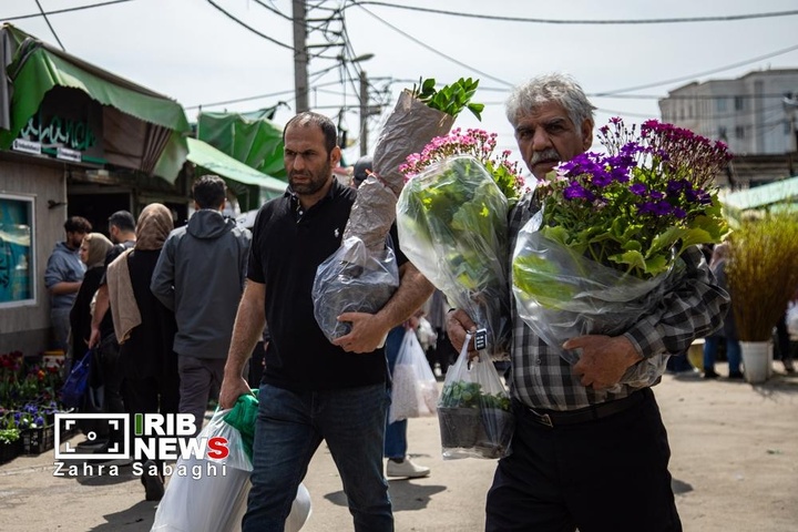 شور و حال خرید در بازار گل محلاتی در آستانه نوروز ۱۴۰۵