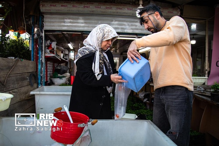 شور و حال خرید در بازار گل محلاتی در آستانه نوروز ۱۴۰۵