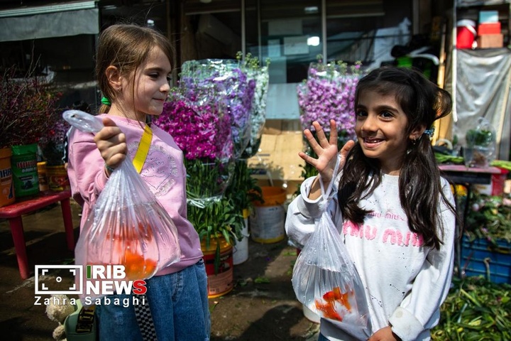 شور و حال خرید در بازار گل محلاتی در آستانه نوروز ۱۴۰۵
