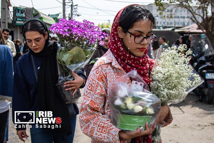 شور و حال خرید در بازار گل محلاتی در آستانه نوروز ۱۴۰۵