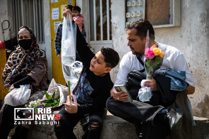 شور و حال خرید در بازار گل محلاتی در آستانه نوروز ۱۴۰۵