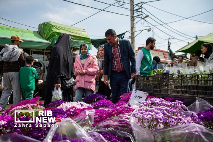 شور و حال خرید در بازار گل محلاتی در آستانه نوروز ۱۴۰۵