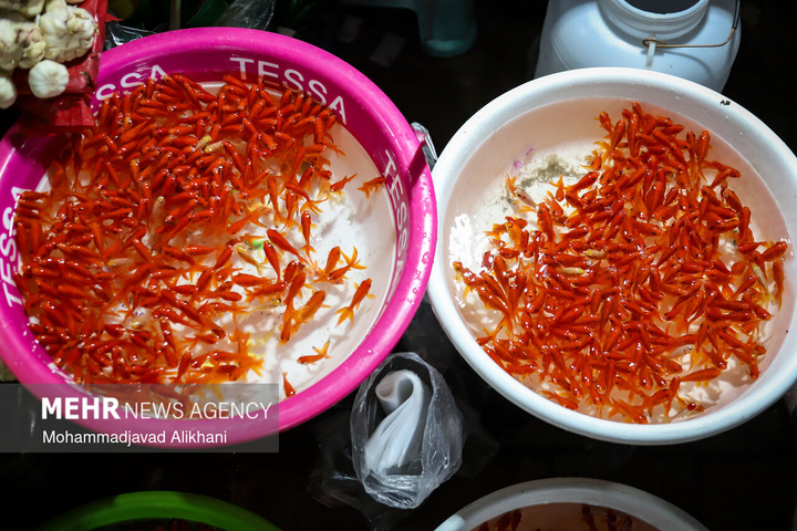 حال و هوای عید نوروز در بازار تجریش تهران