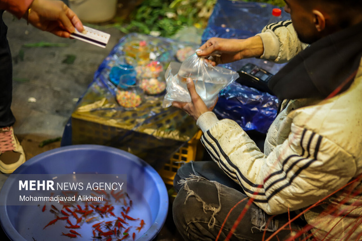 حال و هوای عید نوروز در بازار تجریش تهران