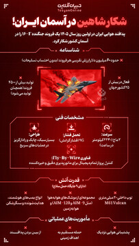 شکار شاهین در آسمان ایران!