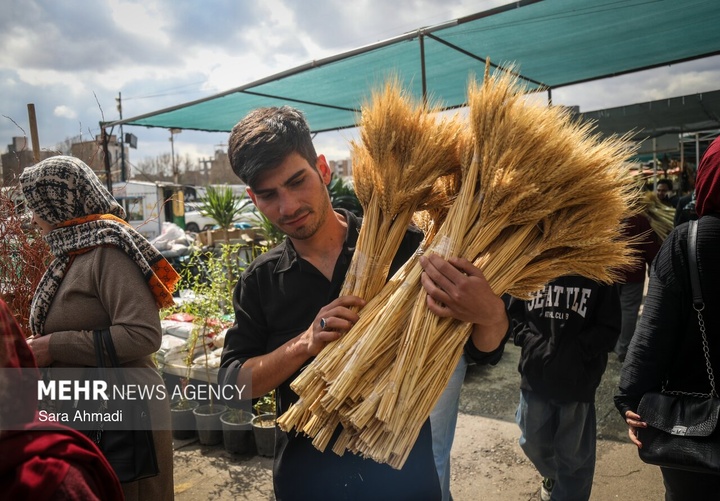 نبض زندگی در ایران