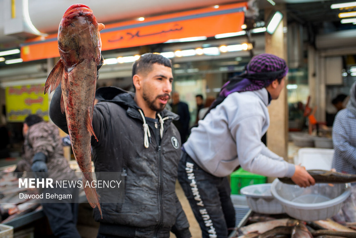 نبض زندگی در ایران