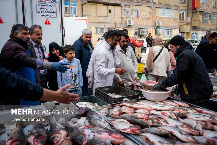 نبض زندگی در ایران