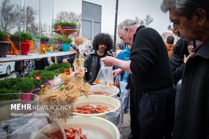 نبض زندگی در ایران