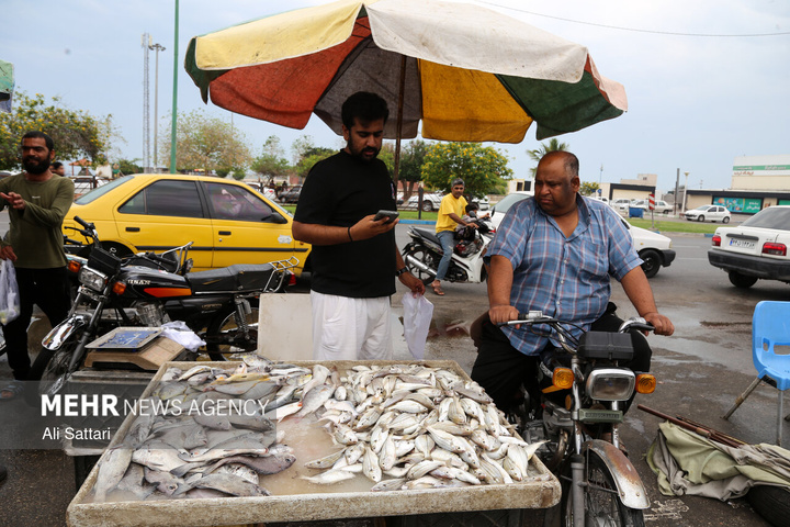 نبض زندگی در ایران