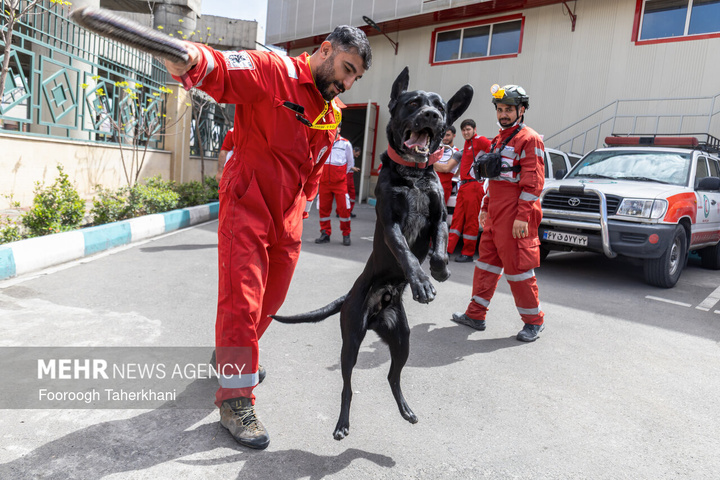 چند دقیقه تا بحران