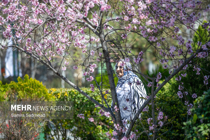 حال و هوای بهاری تهران