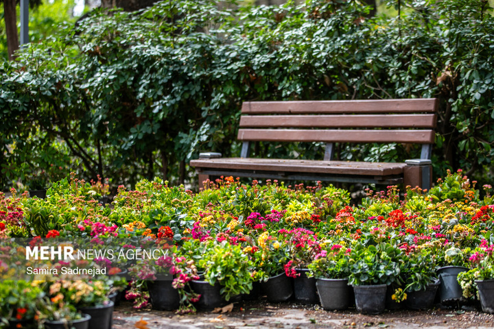 حال و هوای بهاری تهران