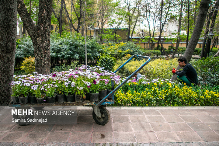حال و هوای بهاری تهران